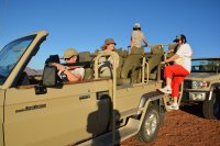 020b safari namib desert