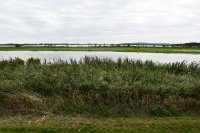 010 peenetal teilgebiet salem bis demmin 2