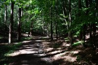 018 wanderweg vom hexenplatz hinter salem durch den wald richtung neukalen