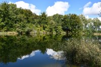 019 kleiner see unterhalb des hoehenwanderweges richtung neukalen