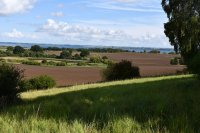 029 moraenenlandschaft mit blick auf den kummerower see 7