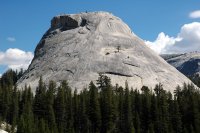 35 yosemite nationalpark granit monolith mit baum