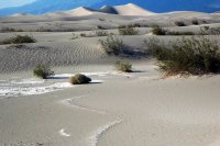 48 death valley.mesquite flat sand dunes